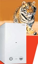 Настенные газовые котлы отопления Protherm Тигр