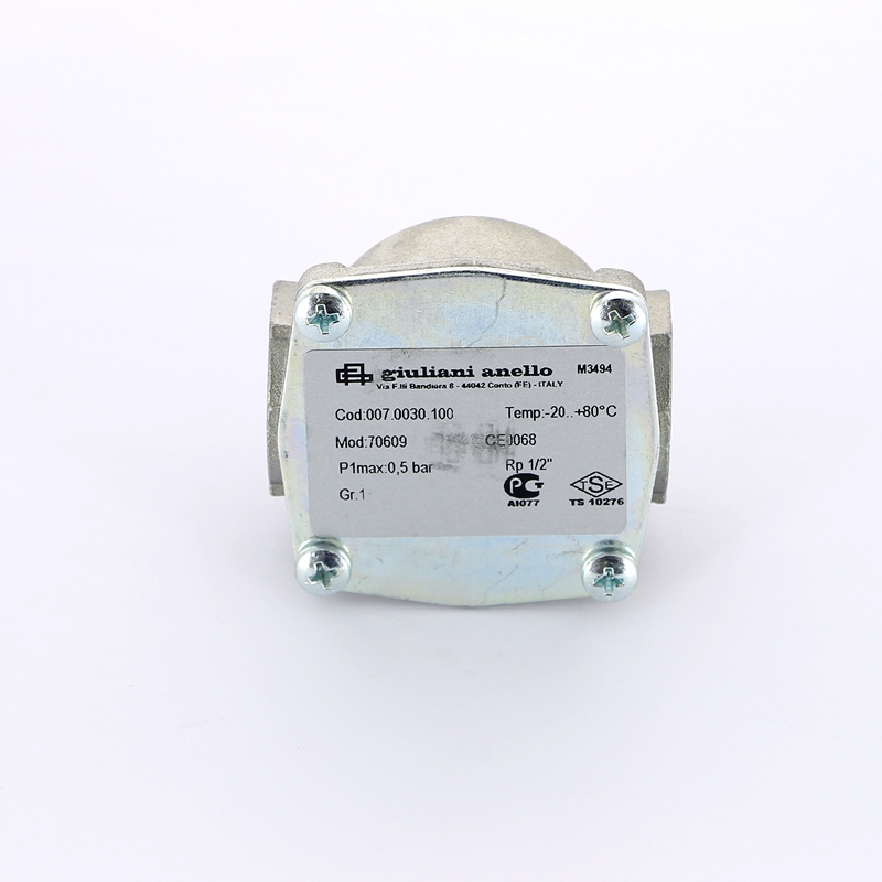 Фильтр газовый WATTS Ind для серий FGB15 1/2" 0,5 бар